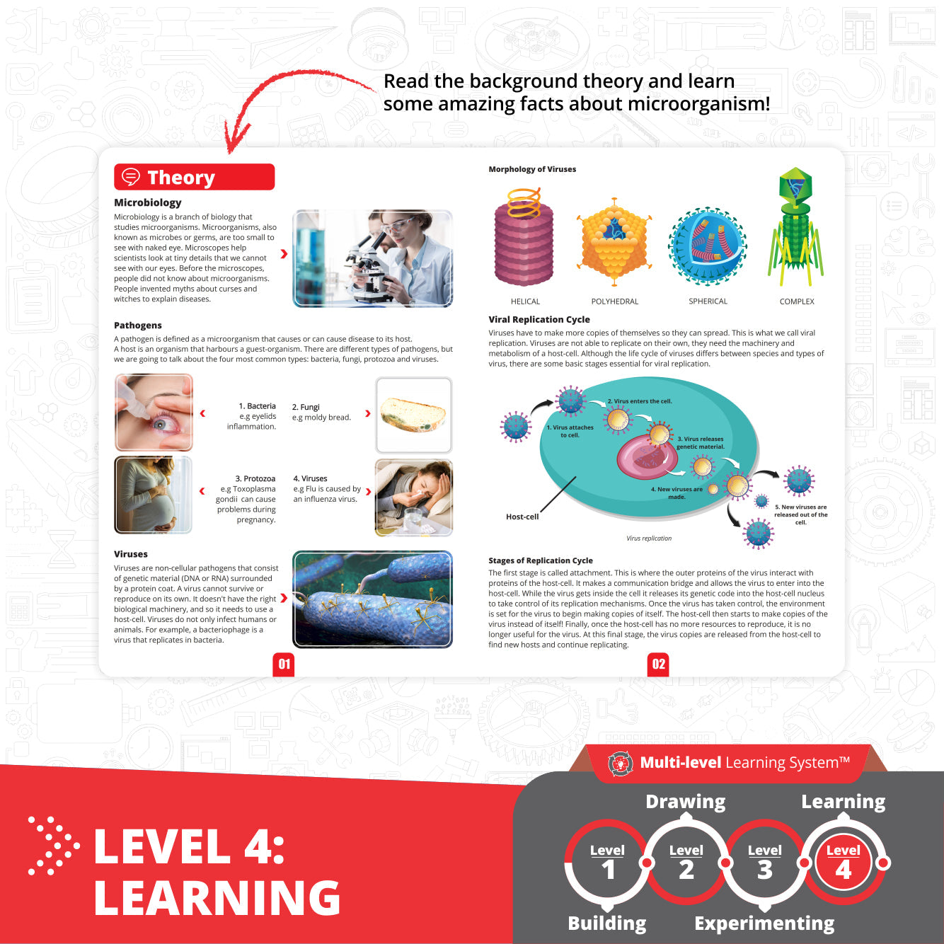 Engino STEAM Labs: How Viruses Work, STEM Building Kit for Kids Ages 8+ (2 Models to Build)
