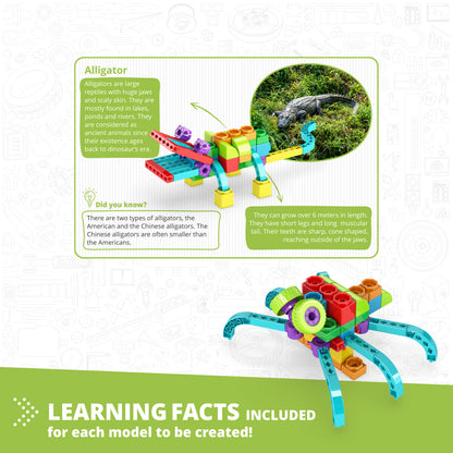 Engino QBOIDZ- Alligator STEM Building Toys for Kids Ages 3+ (5 Models to Build)