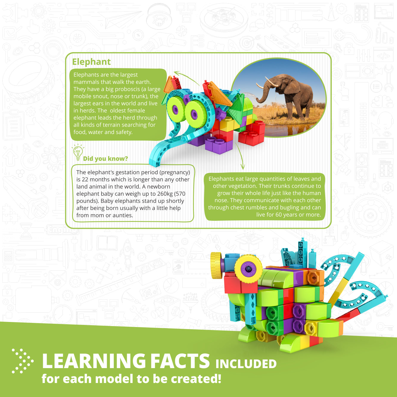 Engino QBOIDZ- Elephant Set STEM Toys for Kids Ages 4+ (10 Models to Build)