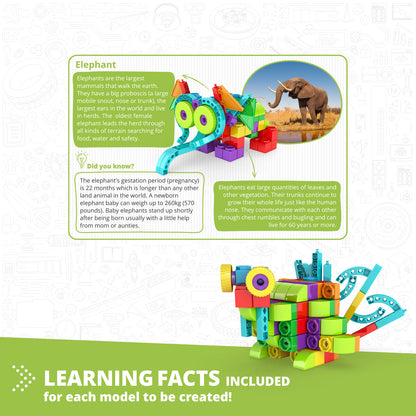 Engino QBOIDZ- Elephant Set STEM Toys for Kids Ages 4+ (10 Models to Build)